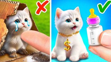 Tiny Kitten’s Milky Adventure with a Colorful Baby Bottle
